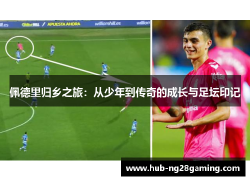 佩德里归乡之旅：从少年到传奇的成长与足坛印记