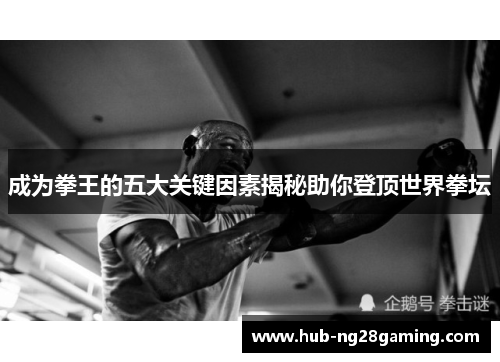 成为拳王的五大关键因素揭秘助你登顶世界拳坛