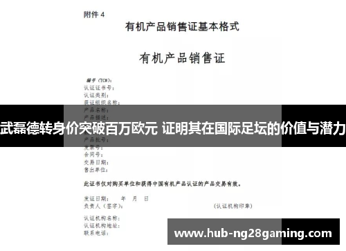 武磊德转身价突破百万欧元 证明其在国际足坛的价值与潜力
