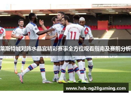 莱斯特城对阵水晶宫精彩赛事全方位观看指南及赛前分析