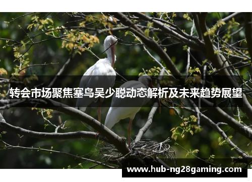 转会市场聚焦塞鸟吴少聪动态解析及未来趋势展望
