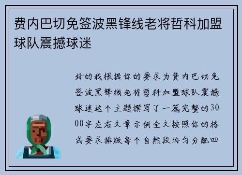 费内巴切免签波黑锋线老将哲科加盟球队震撼球迷